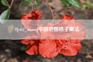 葫芦岛中国地图格子画法