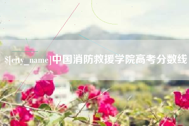 葫芦岛中国消防救援学院高考分数线