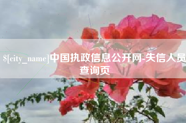 葫芦岛中国执政信息公开网-失信人员查询页
