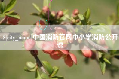 葫芦岛中国消防官网中小学消防公开课
