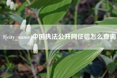葫芦岛中国执法公开网征信怎么查询