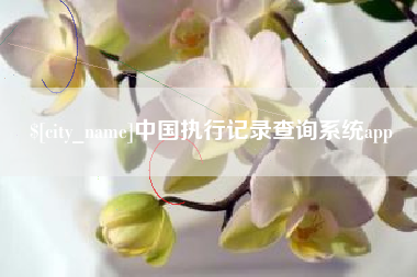 葫芦岛中国执行记录查询系统app