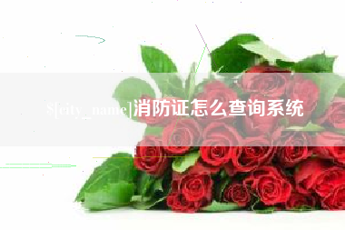 葫芦岛消防证怎么查询系统