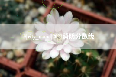 葫芦岛2021消防分数线