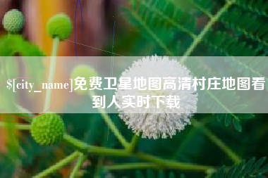 葫芦岛免费卫星地图高清村庄地图看到人实时下载