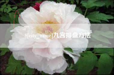 葫芦岛九宫排盘方法