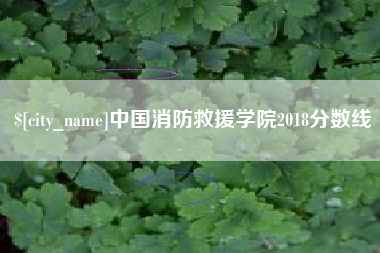 葫芦岛中国消防救援学院2018分数线