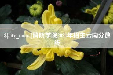 葫芦岛消防学院2024年招生云南分数线
