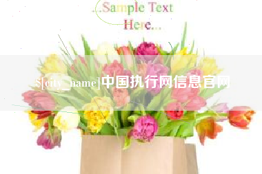 葫芦岛中国执行网信息官网