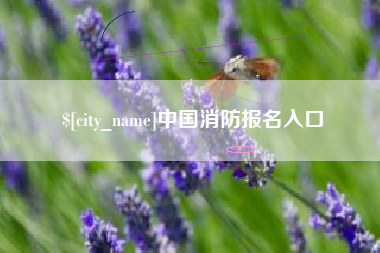 葫芦岛中国消防报名入口
