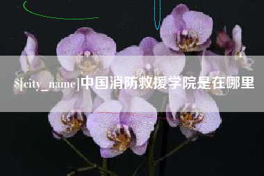 葫芦岛中国消防救援学院是在哪里