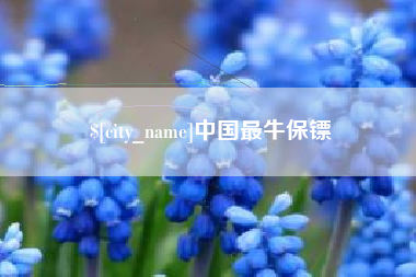 葫芦岛中国最牛保镖