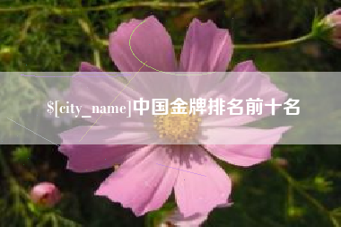 葫芦岛中国金牌排名前十名