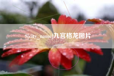 葫芦岛九宫格龙图片