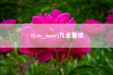 葫芦岛九金是谁