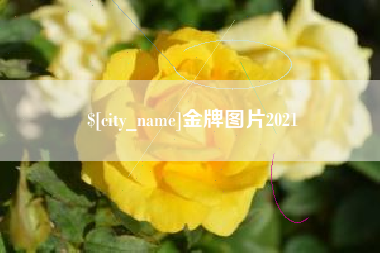 葫芦岛金牌图片2021