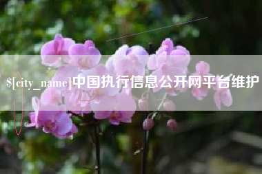 葫芦岛中国执行信息公开网平台维护
