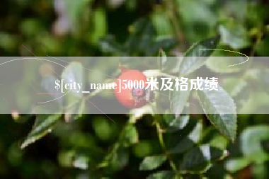 葫芦岛5000米及格成绩