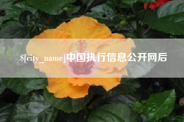 葫芦岛中国执行信息公开网后