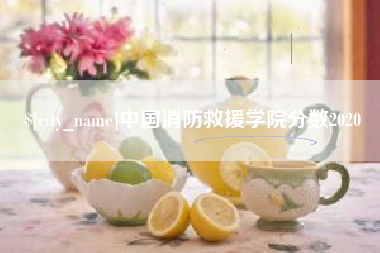 葫芦岛中国消防救援学院分数2020