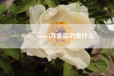葫芦岛九金指的是什么