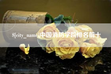 葫芦岛中国消防学院排名前十