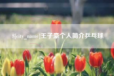 葫芦岛王子豪个人简介乒乓球