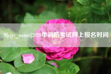 葫芦岛2020年消防考试网上报名时间