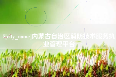 葫芦岛内蒙古自治区消防技术服务执业管理平台