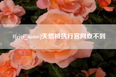 葫芦岛失信被执行官网查不到