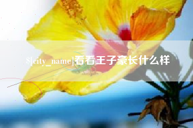 葫芦岛看看王子豪长什么样