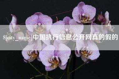 葫芦岛中国执行信息公开网真的假的