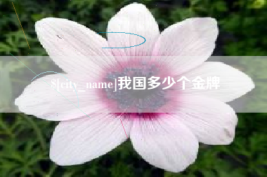 葫芦岛我国多少个金牌