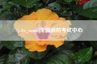 葫芦岛全国消防考试中心