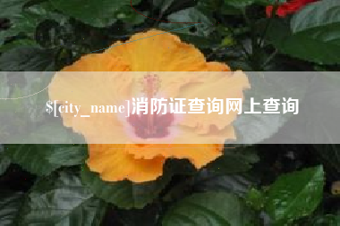 葫芦岛消防证查询网上查询