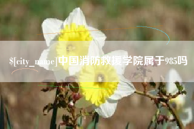葫芦岛中国消防救援学院属于985吗