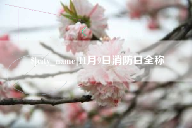 葫芦岛11月9日消防日全称