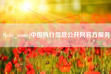 葫芦岛中国执行信息公开网官方服务