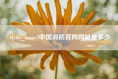 葫芦岛中国消防官网网址是多少