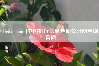 葫芦岛中国执行信息查询公开网查询官网