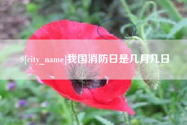 葫芦岛我国消防日是几月几日
