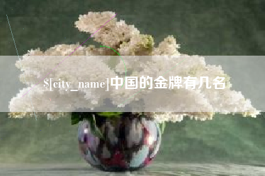 葫芦岛中国的金牌有几名
