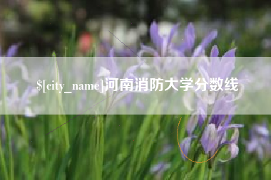 葫芦岛河南消防大学分数线