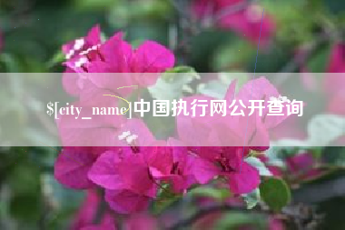 葫芦岛中国执行网公开查询
