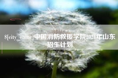 葫芦岛中国消防救援学院2021年山东招生计划