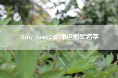 葫芦岛2024奥运冠军名字