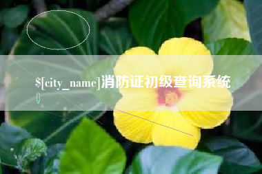葫芦岛消防证初级查询系统