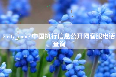 葫芦岛中国执行信息公开网客服电话查询