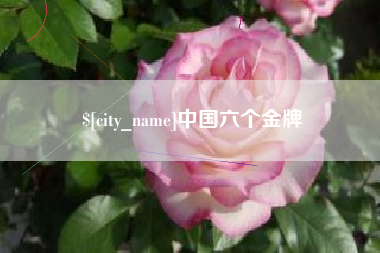 葫芦岛中国六个金牌