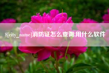 葫芦岛消防证怎么查询,用什么软件